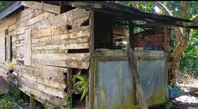 Warga Desa Pal 9 Tinggal di Rumah Tak Layak, Begini Kondisinya