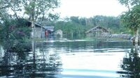 KUBU RAYA, Desa Retok Banjir, Rumah Penduduk Tak Bisa dihuni