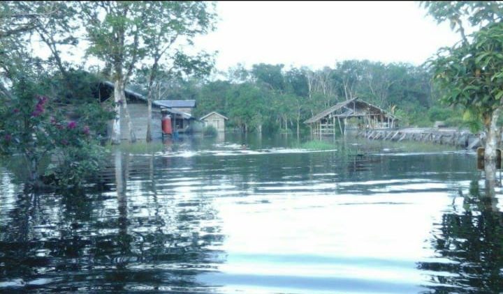 KUBU RAYA, Desa Retok Banjir, Rumah Penduduk Tak Bisa dihuni