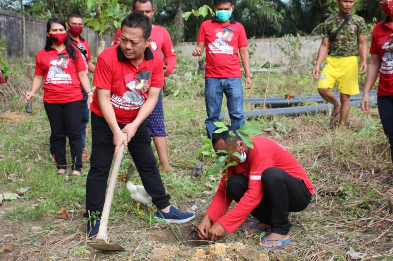 Peringati Bulan Bung Karno, DPC PDI-P Landak Bikin Gerakan Penghijauan