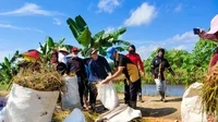 Kunjungi Petani, Maria Lestari Ikut Panen Padi di Kubu Raya