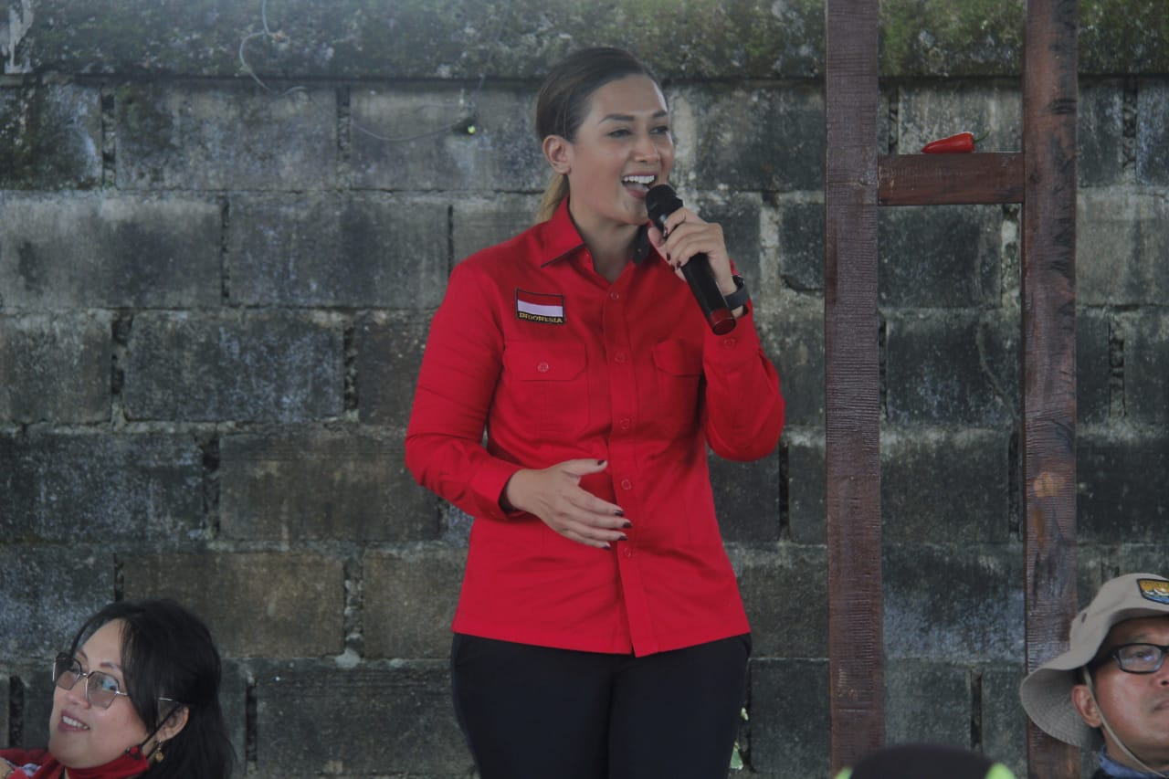 Maria Lestari DPR RI