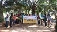 Solidaridad Gelar Pelatihan Budidaya Kelapa Sawit Ramah Lingkungan
