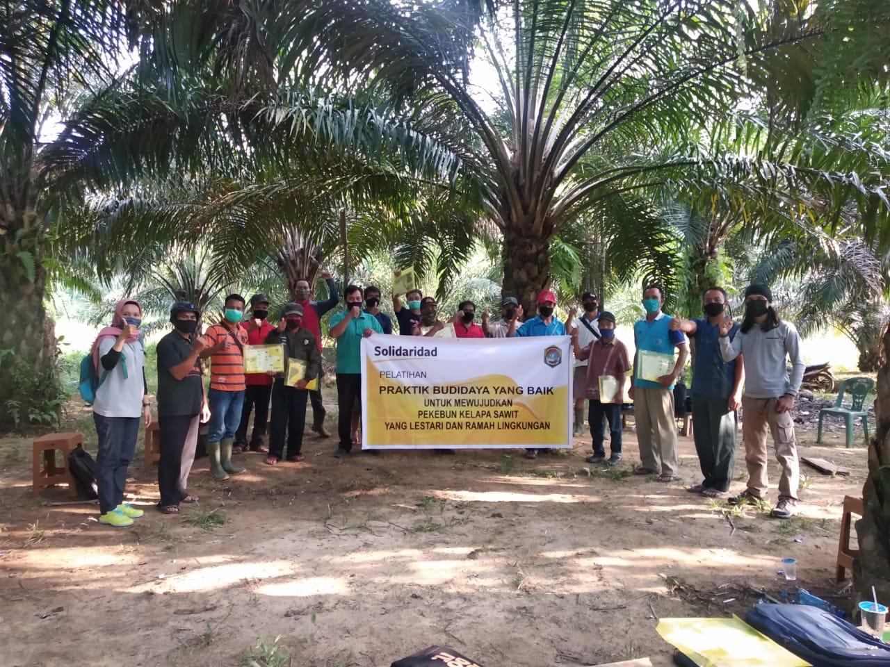 Solidaridad Gelar Pelatihan Budidaya Kelapa Sawit Ramah Lingkungan