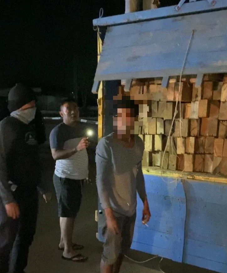 Polda Kalbar Tangkap Truk Bermuatan Ratusan Kayu Illegal/IST