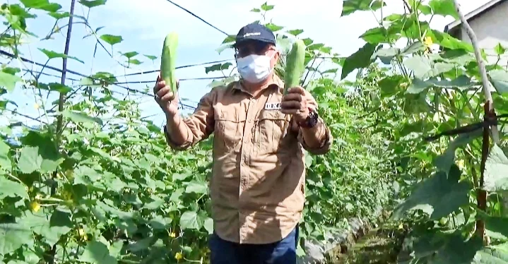 Kelompok Tani Desa Ambawang Kuala Gelar Panen Raya Perdana