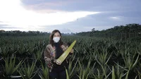 Reses di Pontianak Utara, Maria Lestari Ikut Panen Lida Buaya Milik Petani