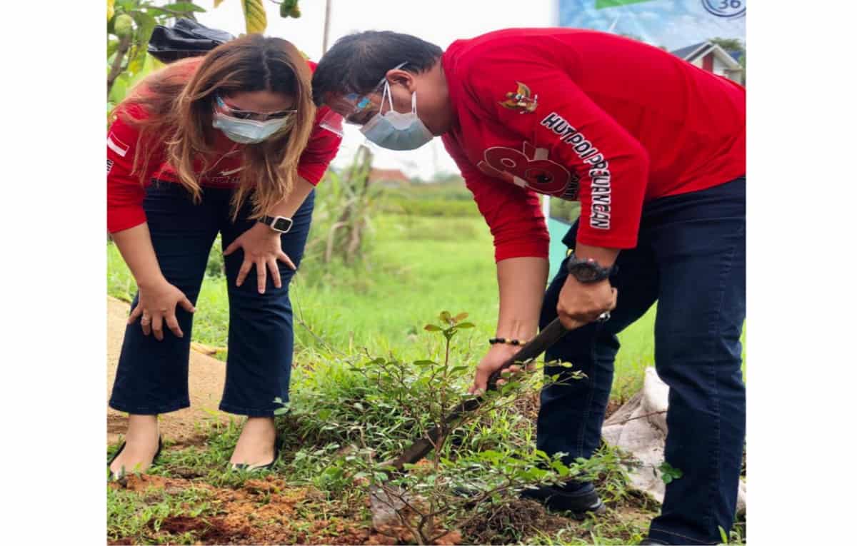 Hijaukan Lingkungan, Lasarus Tanam Pohon di Jalan Arteri Supadio Kubu Raya
