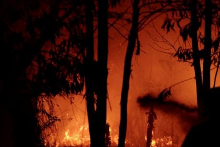 Karhutla: Api Dekati Asrama Mahasiswa di Pontianak