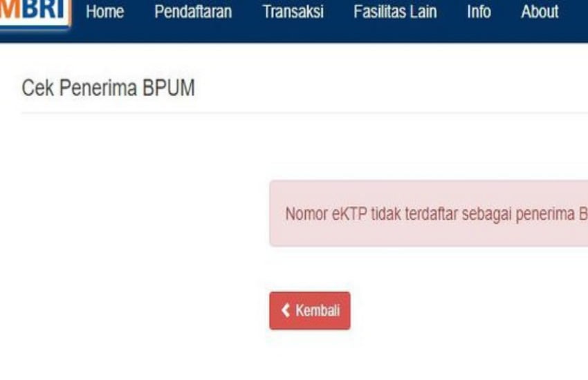 Cek Penerima BPUM atau BLT UMKM 2021 di eform.bri.co.id/bpum