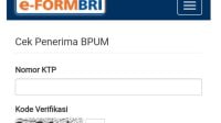 Banpres Bantuan UMKM, Cek Penerima BPUM BNI-PNM Mekar 2021: E Form BRI CO ID Cek Nama BLT UMKM