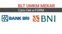 Cek e-Form BNI dan BRI Penerima BLT UMKM – PNM Mekar 2021