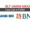 CEK ONLINE Penerima BPUM BLT UMKM 2021 BNI atau BRI Link E Form BRI CO ID Cek Data Banpres 2021
