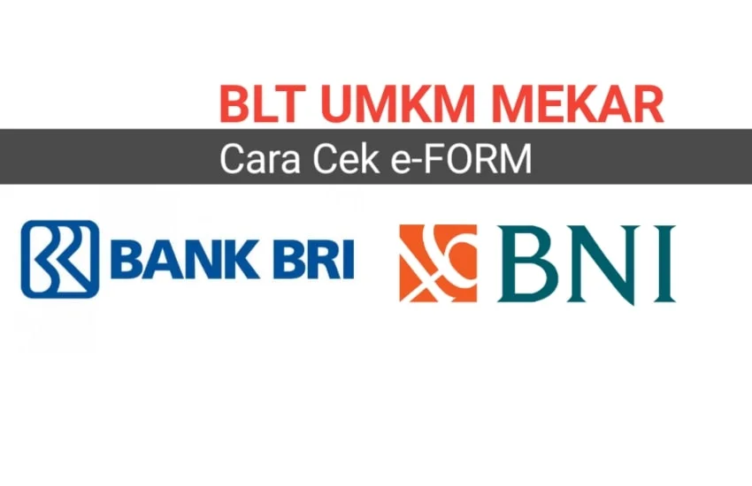 CEK ONLINE Penerima BPUM BLT UMKM 2021 BNI atau BRI Link E Form BRI CO ID Cek Data Banpres 2021