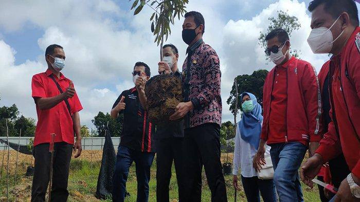 Lasarus saat melakukan penanam pohon di Jalan Pesantren, Putussibau Selatan, Jumat 16 April 2021.