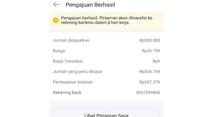 Simak Cara Meminjam Uang di Shopee Lewat Shopee Pinjam