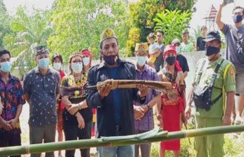 Masyarakat Adat Dayak Hibun Gelar Ndudok Bayang Podagi Singo