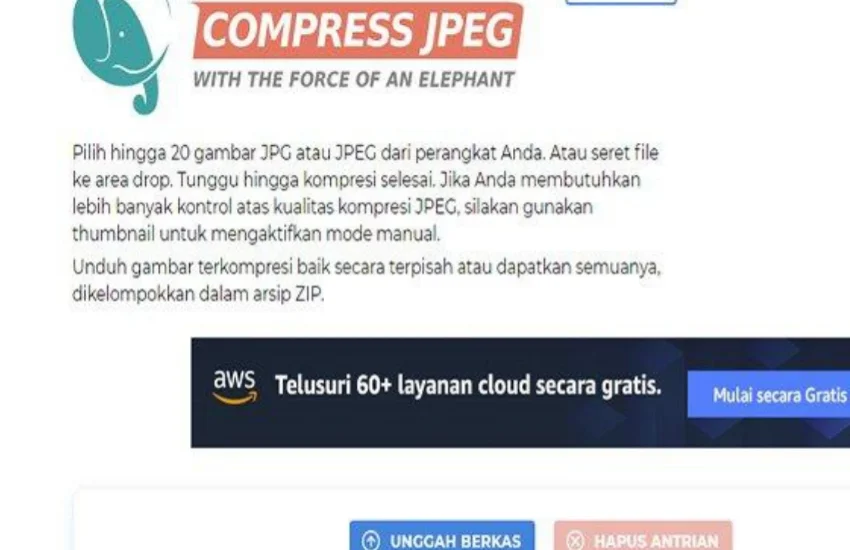 Cara Mengecilkan Ukuran Foto Jadi 200 KB Lewat HP untuk Daftar CPNS 2021 dan PPPK 2021