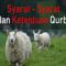 Syarat syarat dan ketentuan qurban