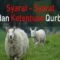 Syarat syarat dan ketentuan qurban