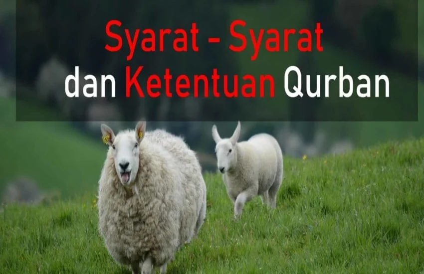 Syarat syarat dan ketentuan qurban