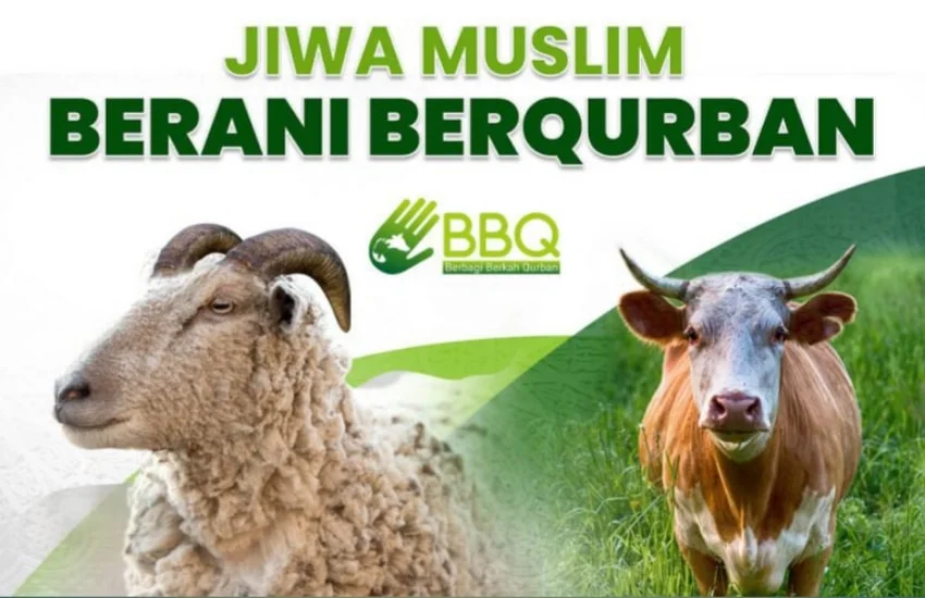 Mari berqurban