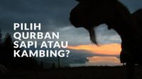 Syarat Dan Ketentuan Saat Qurban Idul Adha (Shohibul Qurban)