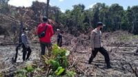 Lahan Seluas 1 Hektare di Kota Singkawang Terbakar