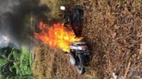 Dua Jambret Ditangkap Warga di Desa Pal IX Kubu Raya, Motornya Dibakar