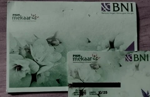 Cek Penerima PNM Mekar (Bantuan UMKM) Bank BNI Rp1,2 Juta, Berikut Tata Cara dan Syaratnya