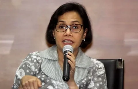 Alasan dan Fungsi NIK Menjadi NPWP Kata Menteri Keuangan Sri Mulyani, Setujukah?