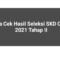 Cara Cek Hasil Seleksi SKD CPNS 2021 Tahap II Diumumkan Hari ini 13-14 November 2021, Situs sscasn.bkn.go.id