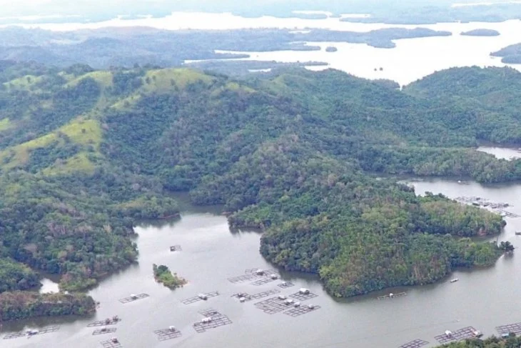 KLHK Identifikasi Lahan DAS yang Kritis di Rawan Banjir Kalimantan