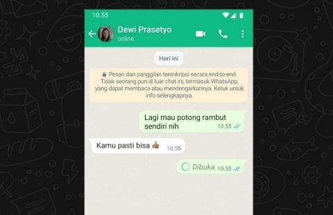 Update WhatsApp: Kirim Media Sekali Lihat