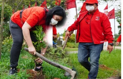 Hijaukan Lingkungan, Lasarus Tanam Pohon di Jalan Arteri Supadio Kubu Raya