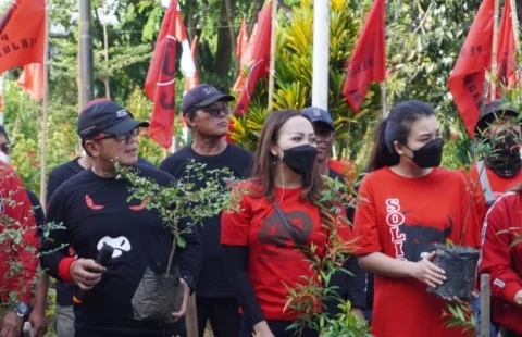 Hijaukan Bumi, PDI Perjuangan Kalbar Tanam 500 Pohon