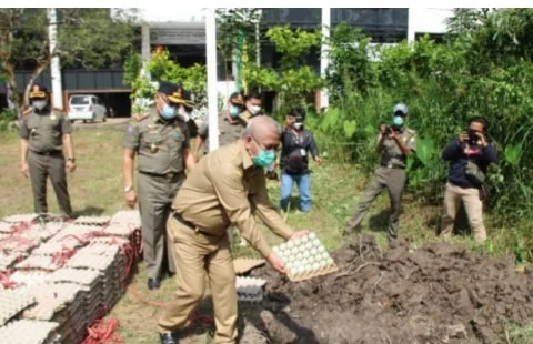 Satpol PP Kalbar Musnahkan Telur Ilegal asal Jawa Timur