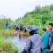 Heboh! Buaya Terkam Satu Orang Sedang Mancing di Sungai Blangiran Ketapang