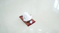 Bacaan Niat dan Tata Cara Mengerjakan Sholat Dhuha Berikut Doanya