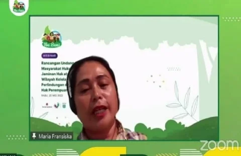 Perempuan Adat Malawi Kalimantan Barat Maria Fransiska Tenot saat mengikuti Webinar Rancangan Undang-Undang Masyarakat Hukum Adat (RUU MHA): Jaminan Hak atas Tanah dan Akses Wilayah Kelola Ruang sebagai Wujud Perlindungan dan Pengakuan Hak Perempuan Adat di Indonesia, Rabu (25/5/2022).