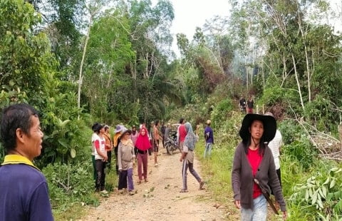 Masyarakat Kompak Tanam Tumbuh Jaringan Listrik PLN di Hulu Buyan