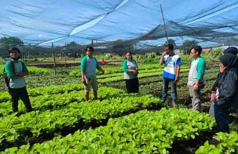 Kuat Sihir Inovasi Tata Kelola Gambut di Perkotaan Pontianak