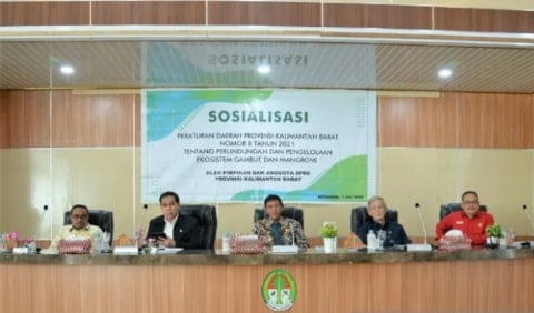 Perda Nomor 8 Tahun 2021 Harap Cegah Kerusakan Gambut dan Mangrove di Ketapang