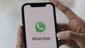 Cek Penerima BSU Ketenagakerjaan Lewat WhatsApp: Cara Tercepat Cek BLT Subsidi Gaji