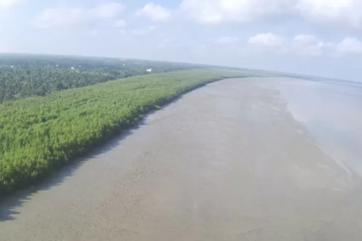 Pemda Landak Sosialisasi Perda Ekosistem Gambut dan Mangrove