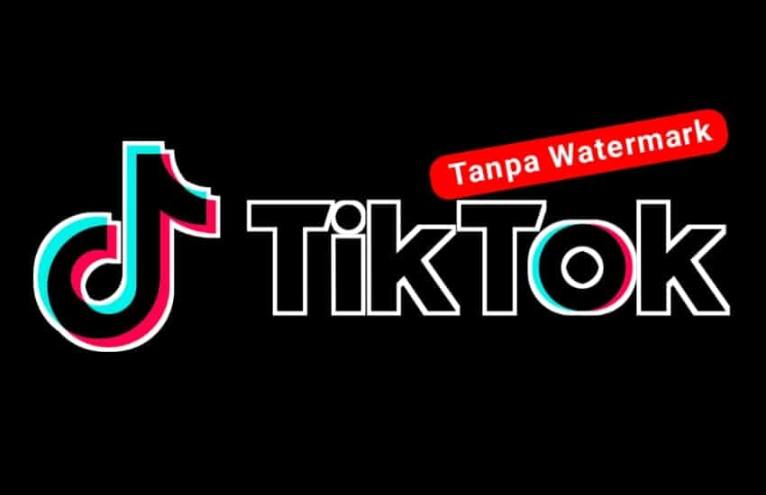 Download Video Tiktok tanpa watermark