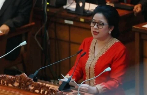 Puan Didukung Politisi Partai Demokrat Jadi Calon Presiden