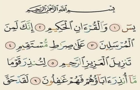 BACAAN Surat Yasin PDF Ayat 1-83, Dibaca Malam Jumat: Tulisan Arab, Indonesia dan Terjemahan