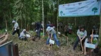 Tanam 5000 Pohon, PPATK bersama BCA Lakukan Rehabilitasi Lahan Konservasi Orang Utan Kaltim