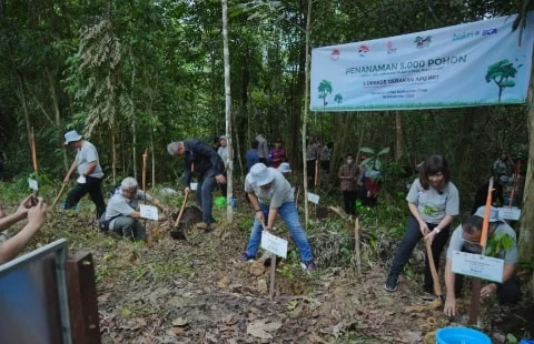 Tanam 5000 Pohon, PPATK bersama BCA Lakukan Rehabilitasi Lahan Konservasi Orang Utan Kaltim. Foto/Instagram. 